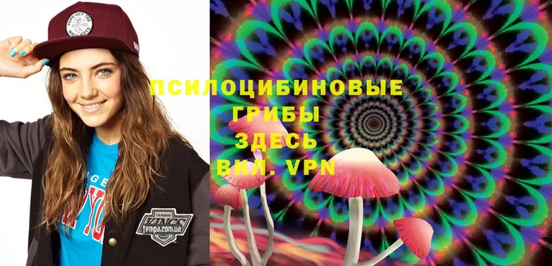 Галлюциногенные грибы Psilocybe Татарск